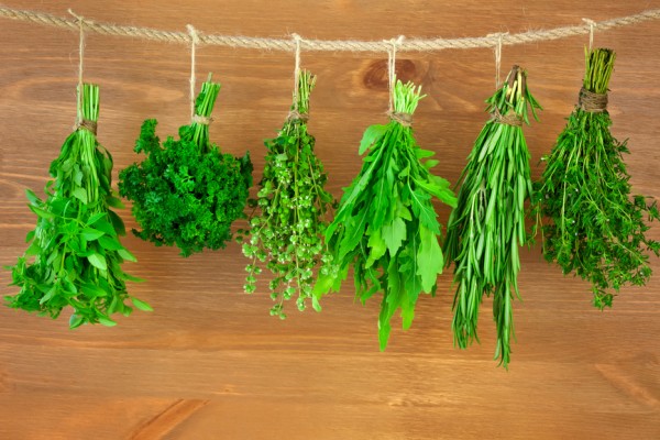 Fresh  Herbs Collection / Vintage Style